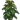 Void Grass icon.png