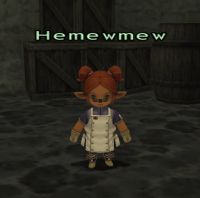 Guild Contract NPC
